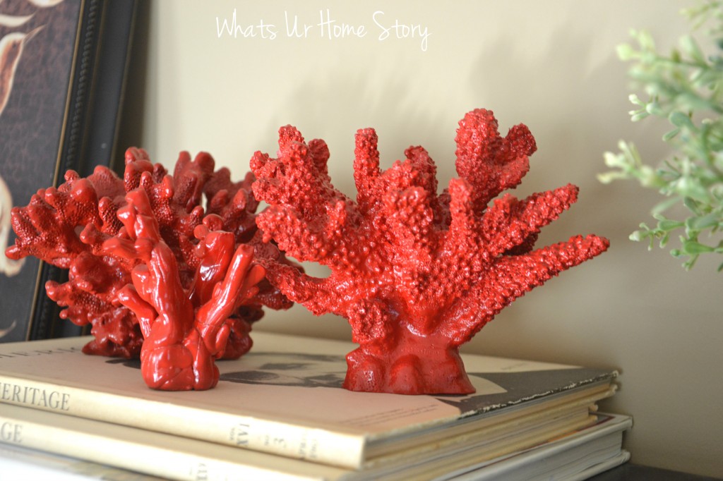 How to Make Coral in 2 Easy Steps