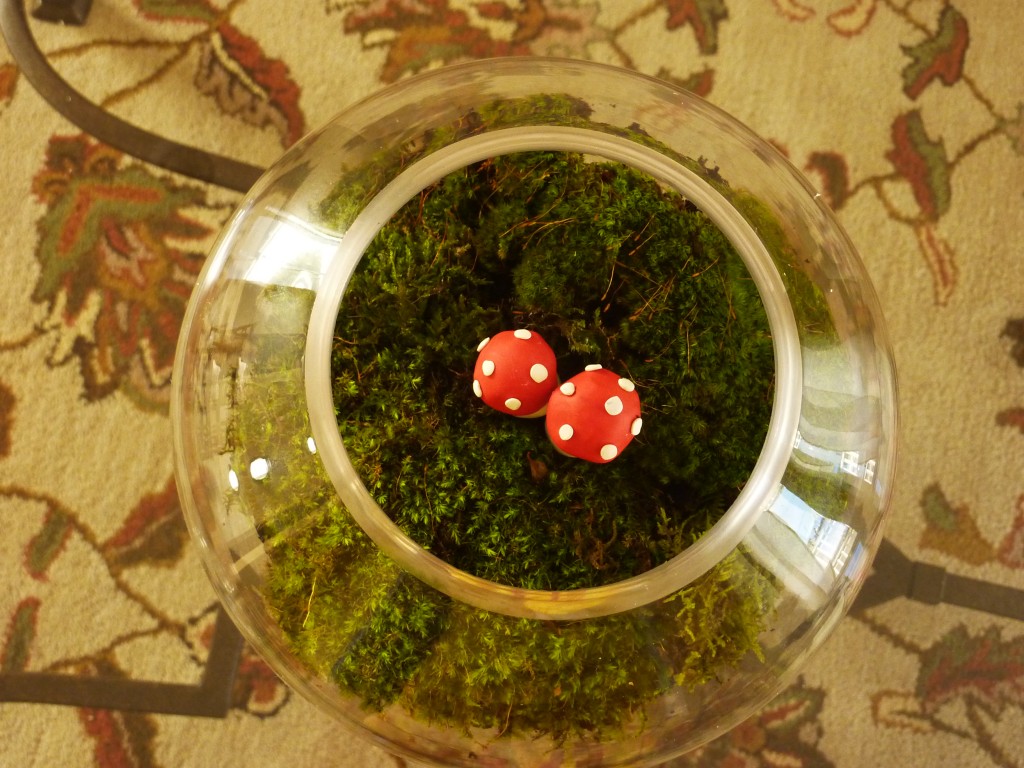 How to Make a Terrarium