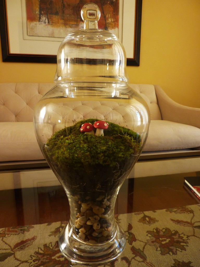 How to Make a Terrarium