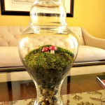Diy moss terrarium,how to make a moss terrarium