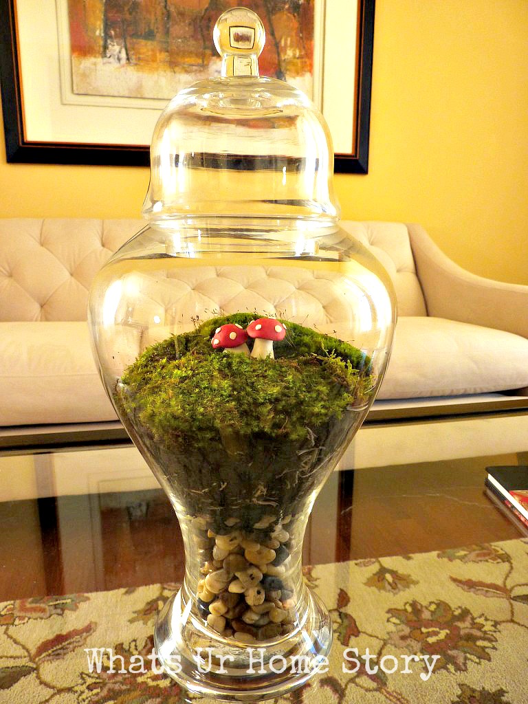 Diy moss terrarium,how to make a moss terrarium