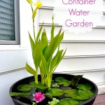 diy container water garden, diy water garden