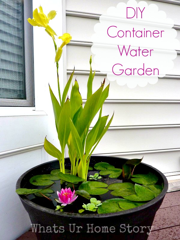 diy container water garden, diy water garden