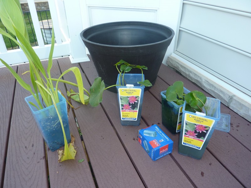 container water garden tutorial How to Set up Mini Water Gardens on Your Deck