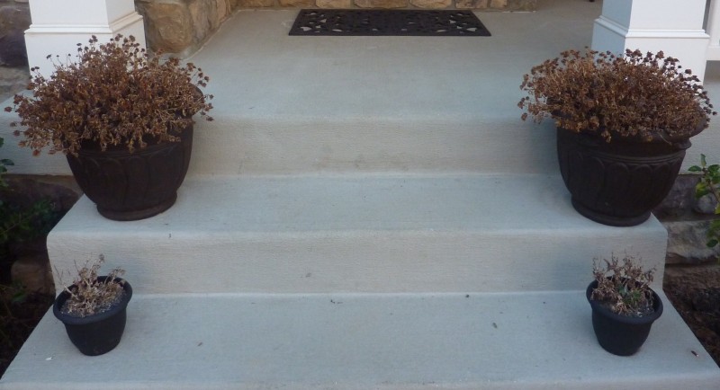 Sprucing Up the Doorsteps