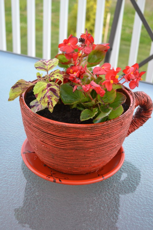 How to Repair Broken Planter With Glue & Rope