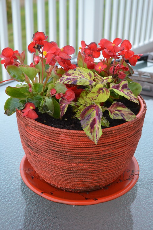 How to Repair Broken Planter With Glue & Rope