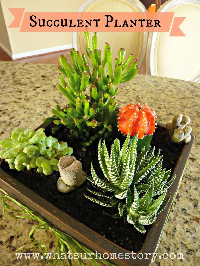 How to Make a Simple Succulent Planter Tutorial