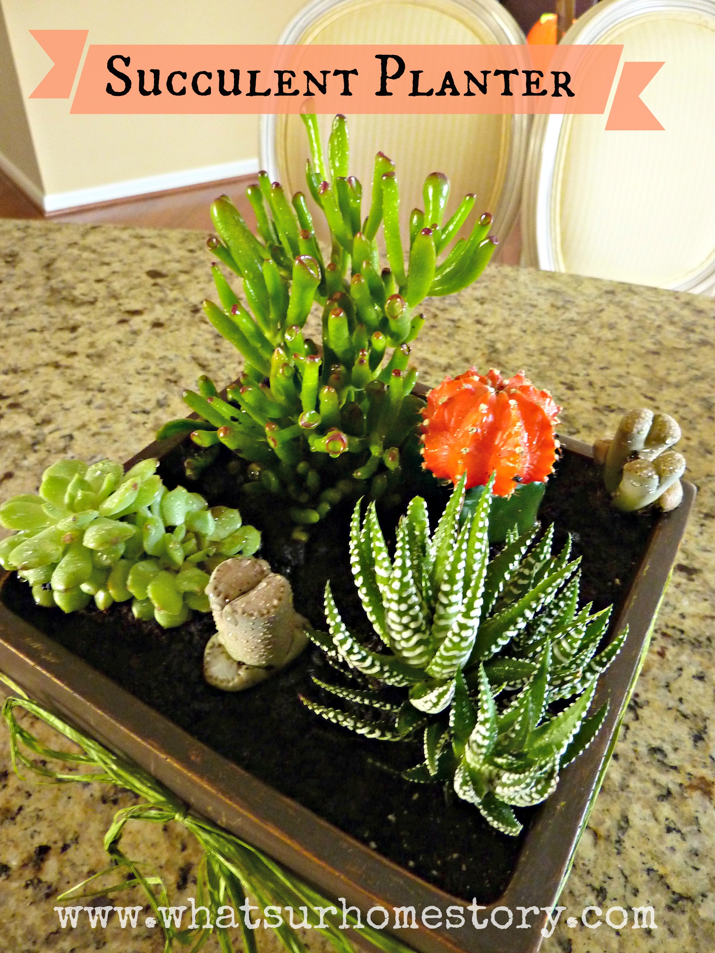 DIY succulent planter, succulent planter tutorial