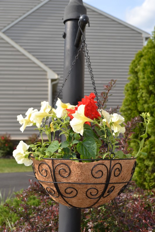 Details about   12" 30cm Hanging Basket Liners Basket Plant Fiber Liners For Flower Pots BH
