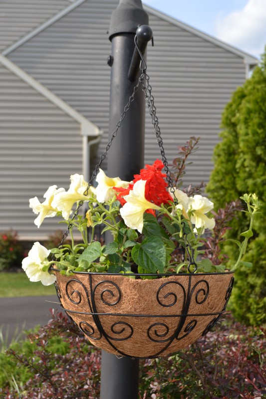 How to Conserve Water When Using Hanging Basket Liners