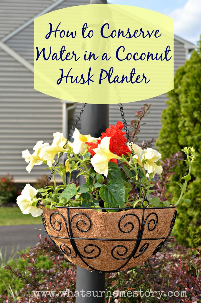 How to Conserve Water When Using Hanging Basket Liners