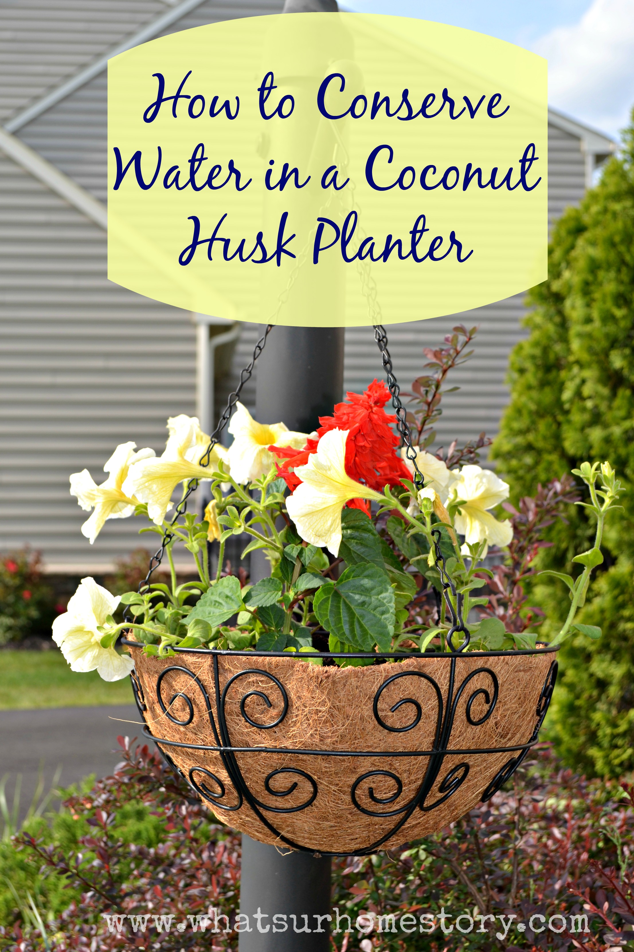 how to conserve water in a coconut husk planter