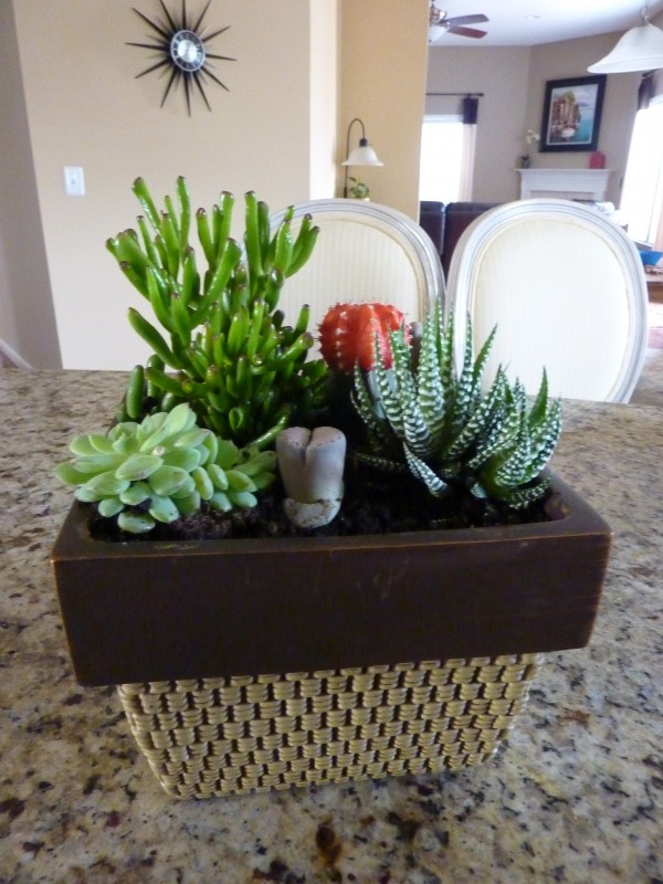 How to Make a Simple Succulent Planter Tutorial