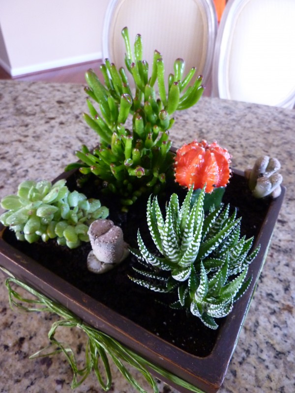 How to Make a Simple Succulent Planter Tutorial