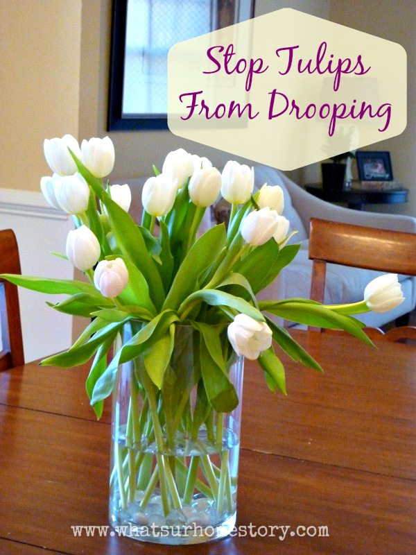 stop tulips from drooping Why are My Cut Tulips Drooping