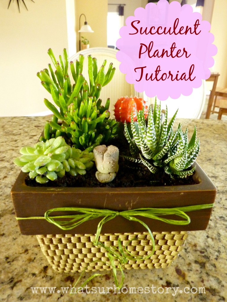 How to Make a Simple Succulent Planter Tutorial