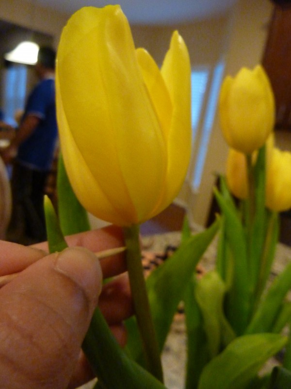 4 Tricks to Keep Tulips in a Vase From Drooping