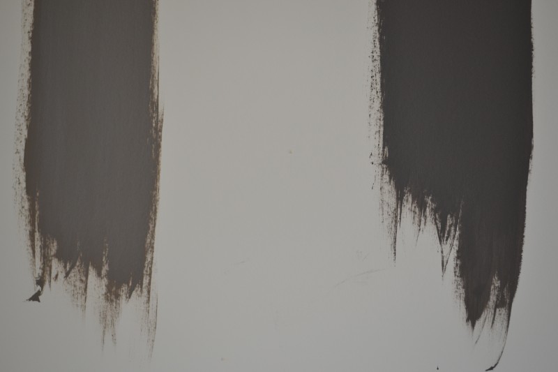 Martha stewart brook trout, Behr Trail Print Choosing the Right Gray Paint Colors