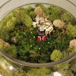 fairy garden terrarium