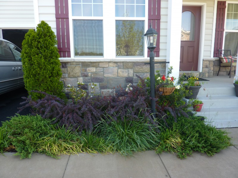 New Landscaping Reveal   Front Garden