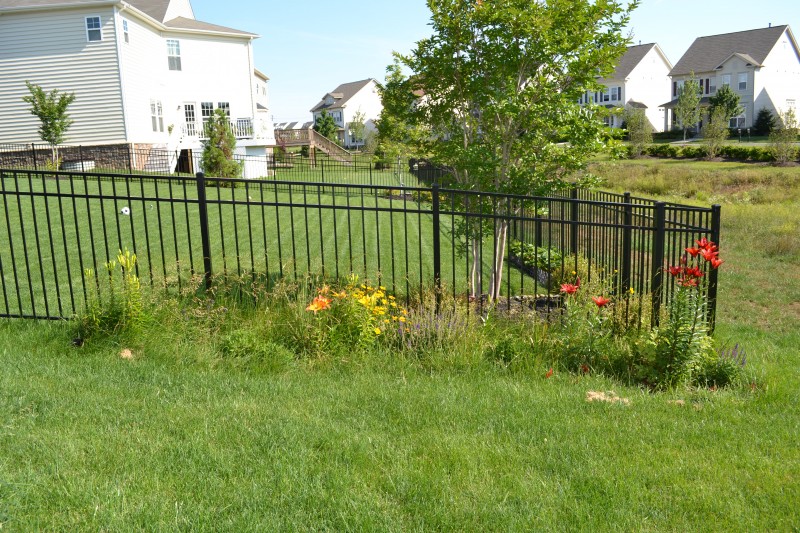 How Not to Make a Flower Bed