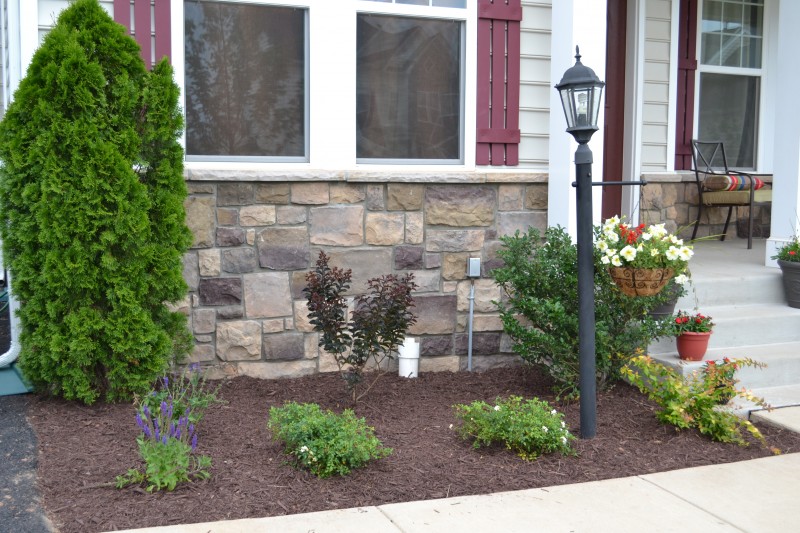 landscaping makeover