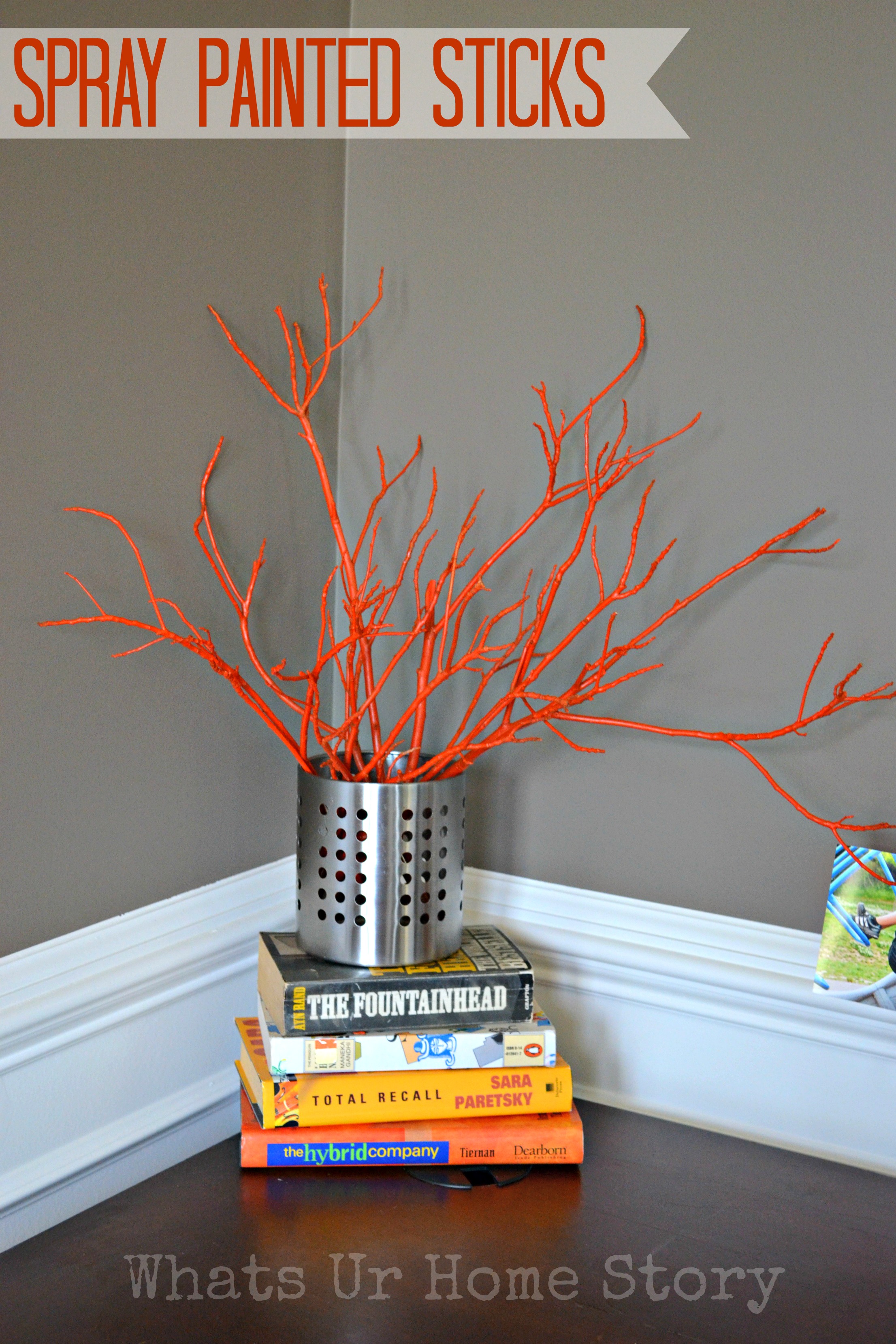 painted sticks diy,spraypaintedsticks,decoratingwithsticks,MarthaStewartBrookeTrout,