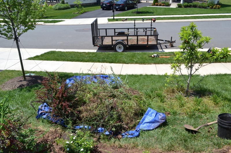 New Landscaping Reveal   Front Garden