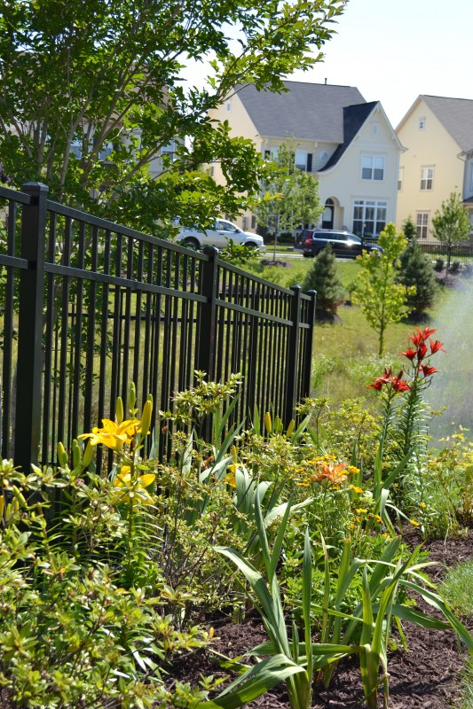 How Not to Make a Flower Bed