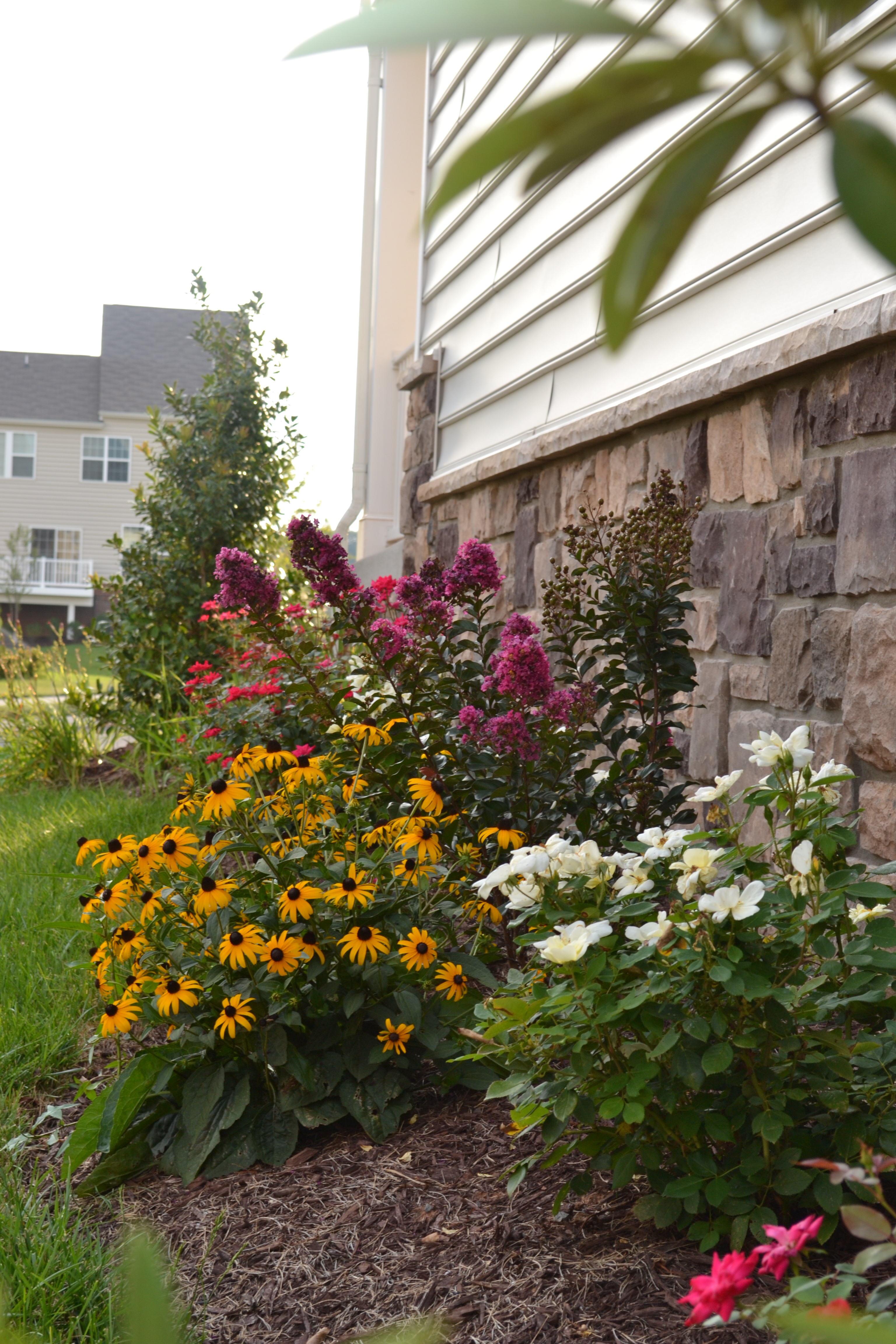 side yard garden