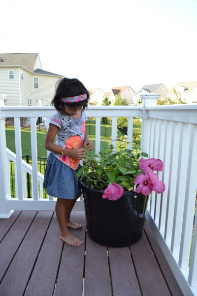 The Cheapest Way to DIY Large Plant Pots!