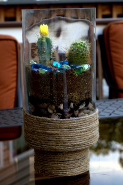 cactus terrarium, fix a broken glass vase