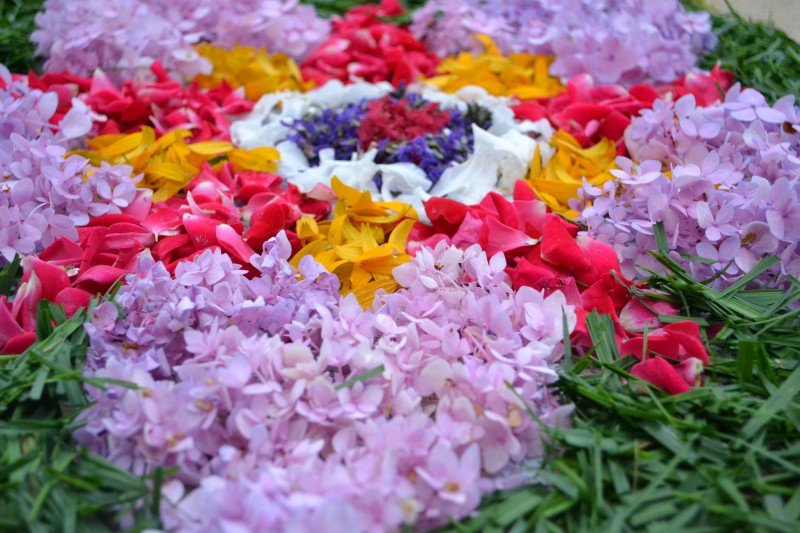 2012 Onam Pookalam