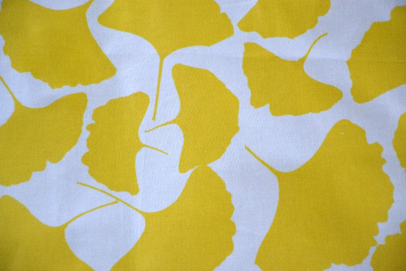 Make Your Own Fabric from Leaves