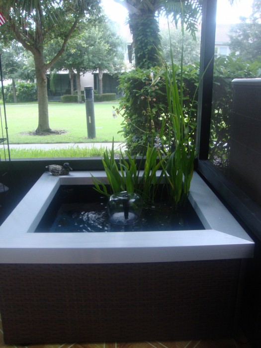 Reader Showcase   Water Garden