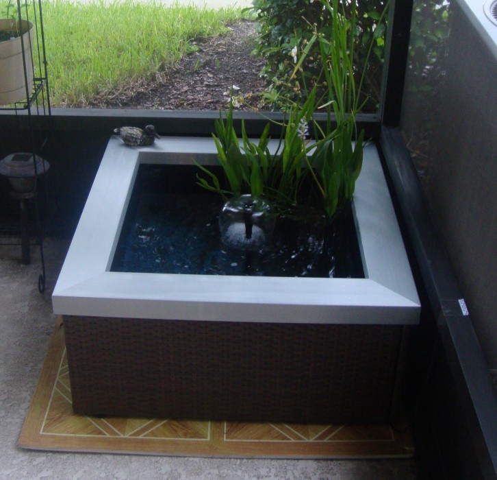 Reader Showcase   Water Garden