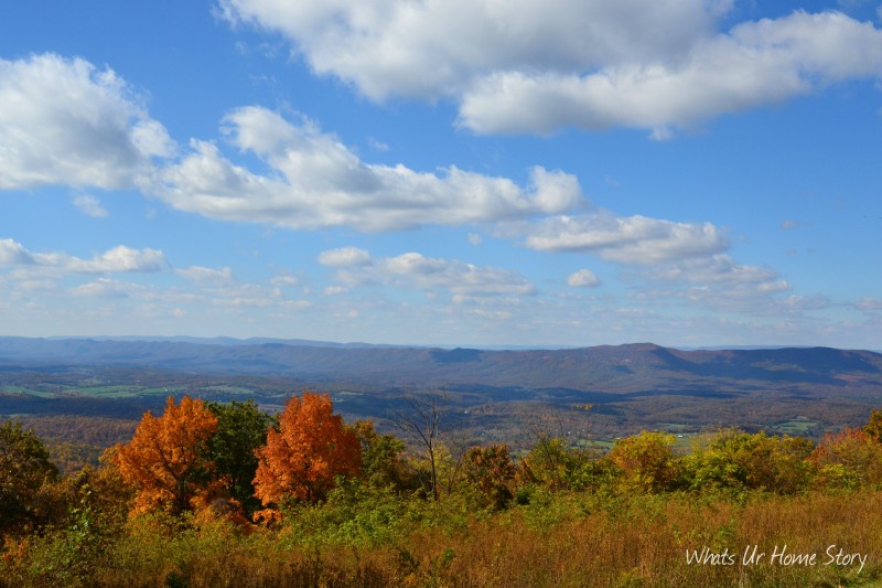 Whats Ur Home Story: Fall color