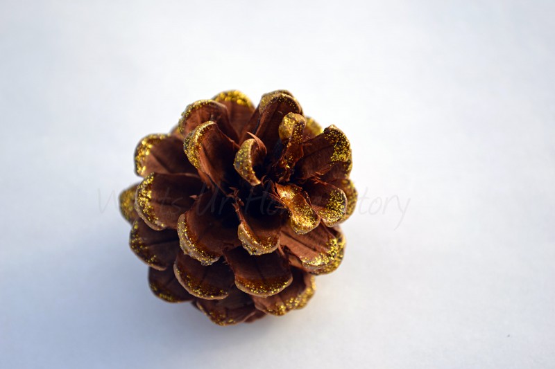 Glitter Dipped Pine Cone Ornament