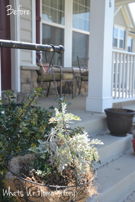 Spring Spruce Up