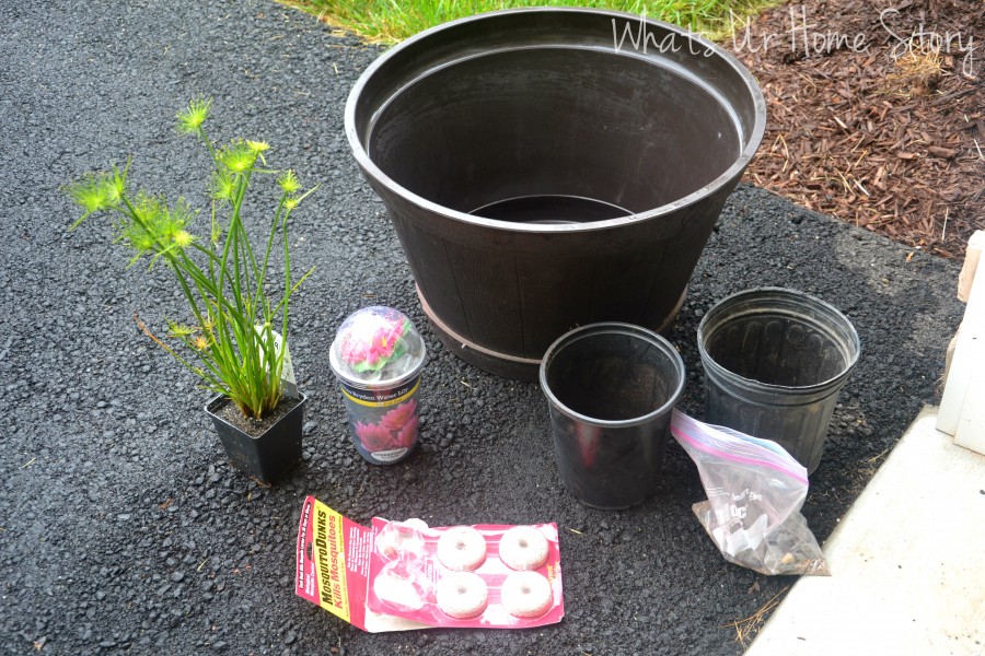 My Mini Pond Garden is Back in Business