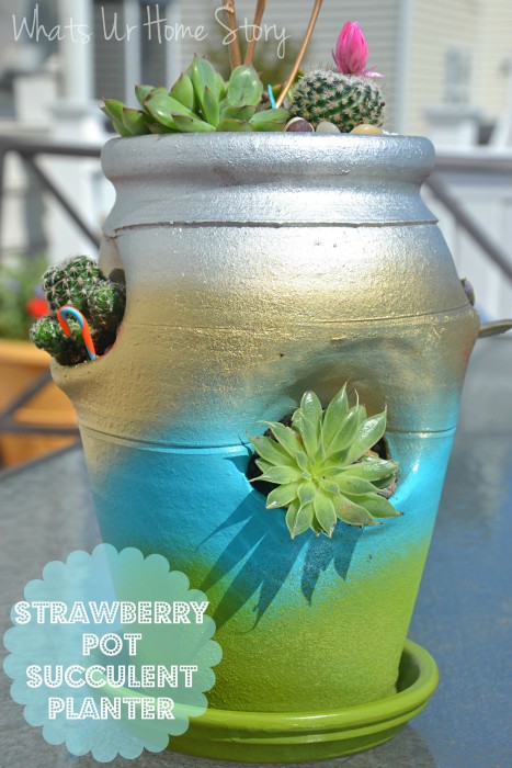 Strawberry Pot Succulent Planter