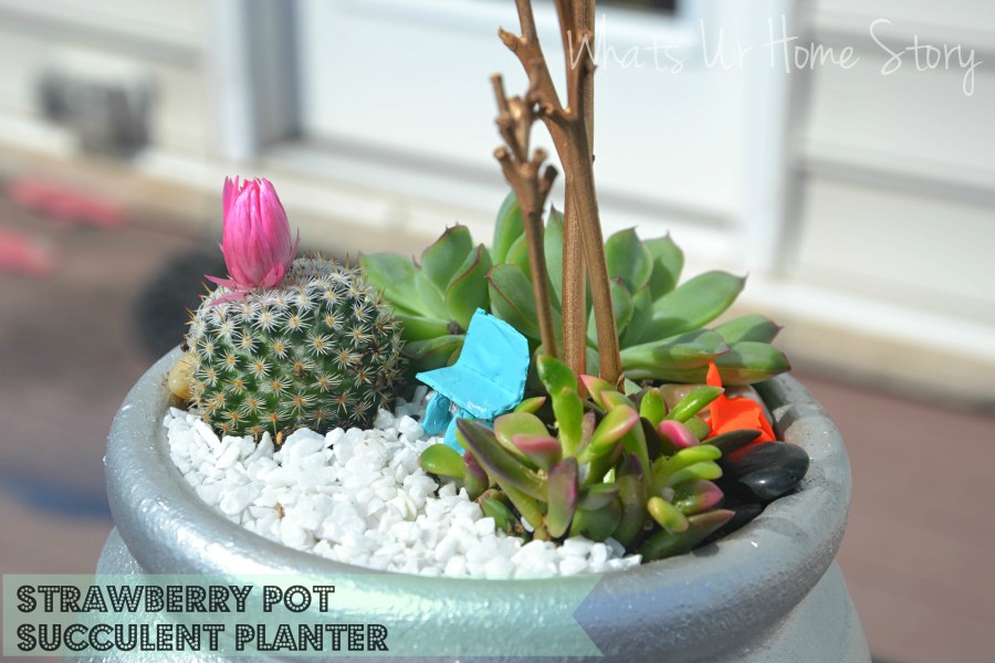 Strawberry Pot Succulent Planter