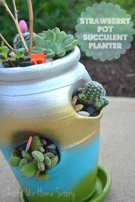 Strawberry Pot Succulent Planter