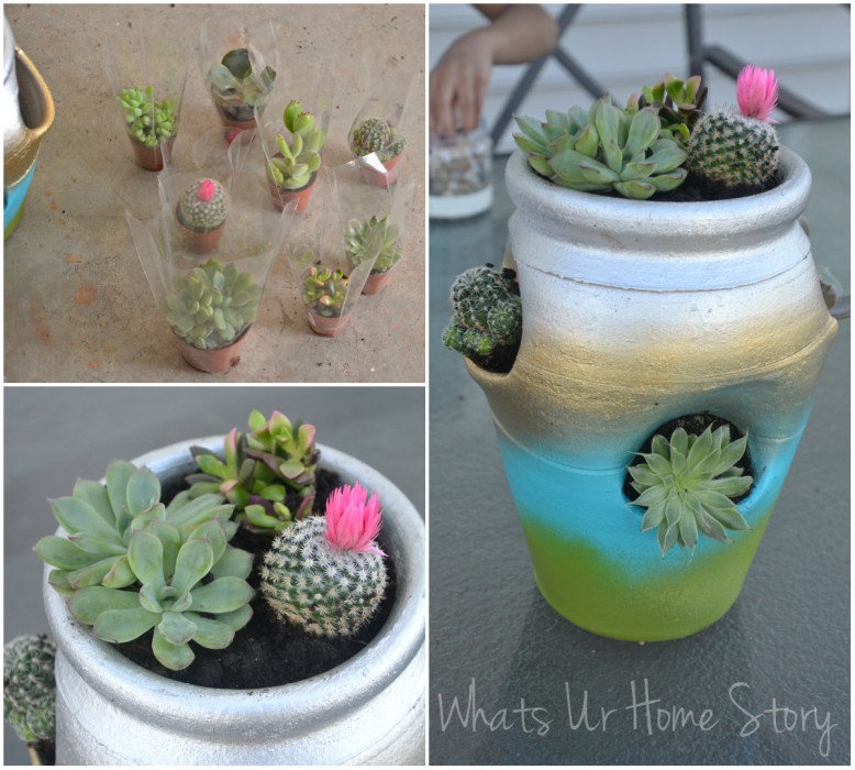 Strawberry Pot Succulent Planter