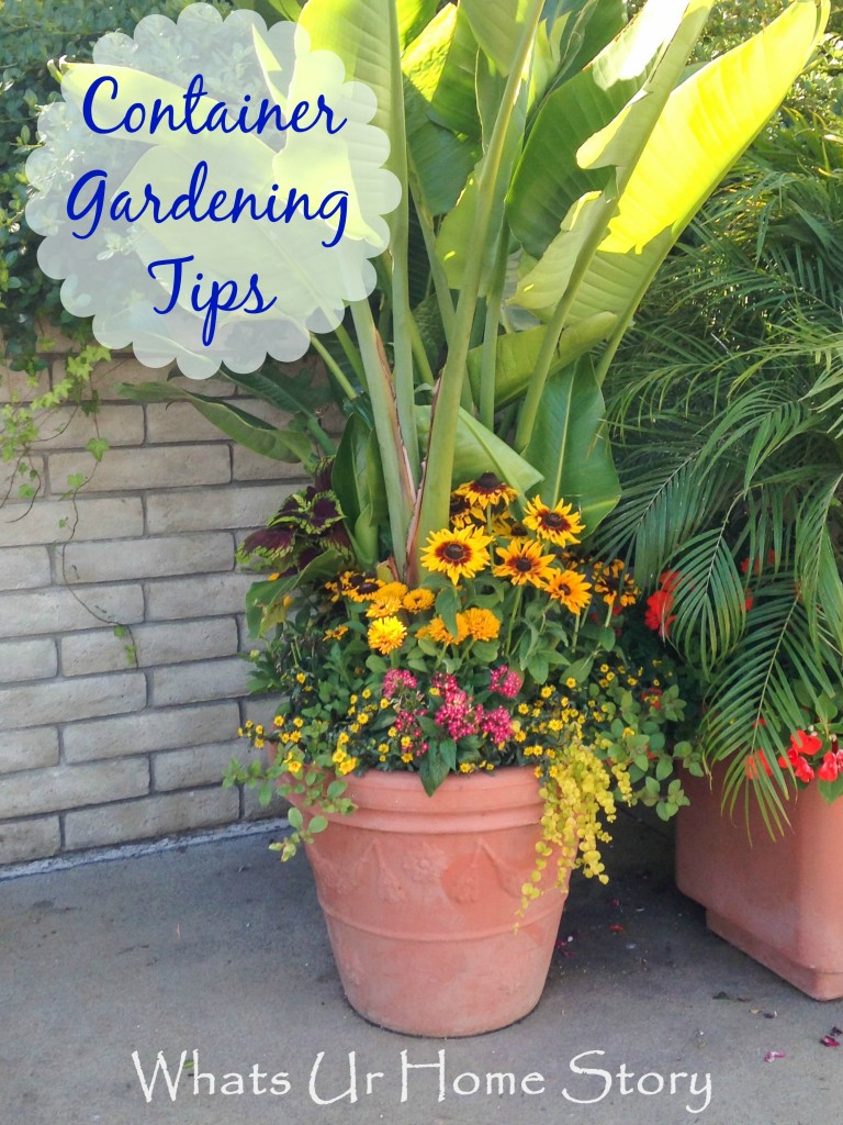 Container Gardening