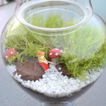 Whats Ur Home Story: aurea scotch moss, moss terrarium tutorial