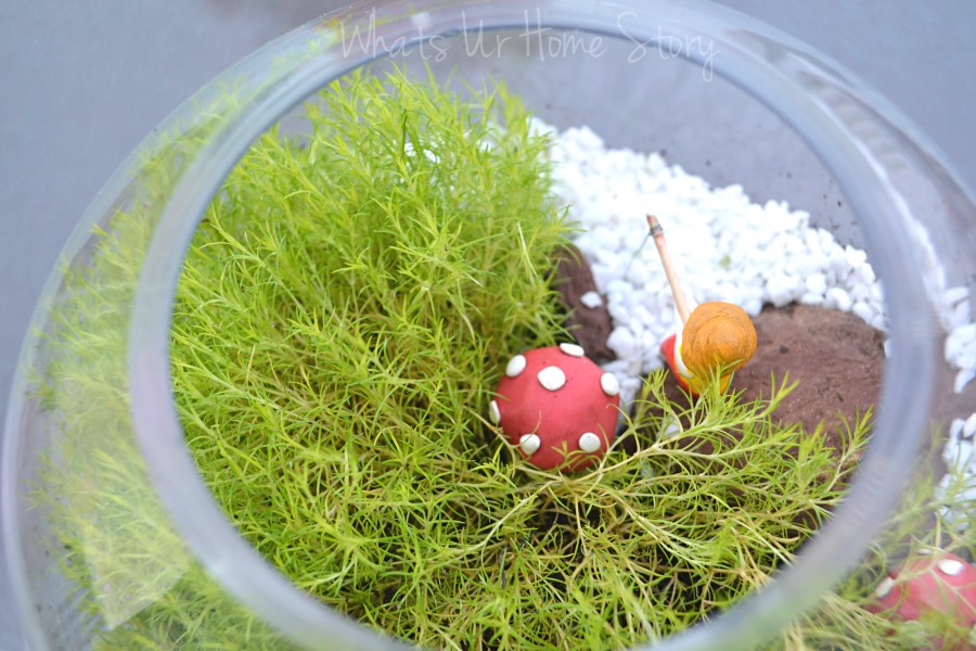 Yet Another Moss Terrarium