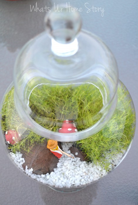 Yet Another Moss Terrarium