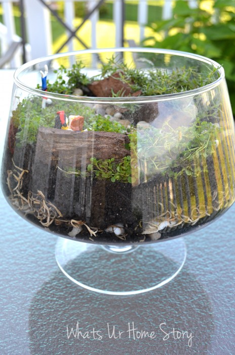 Miniature Garden Terrarium